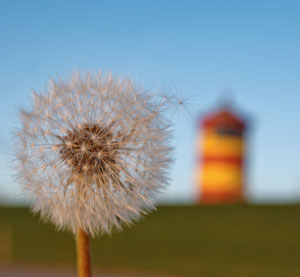 Pilsum_Leuchtturm_140506_str_2